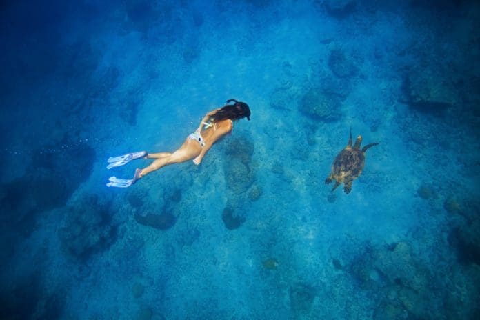 L_121836_snorkelcarey-7139alrt-ok