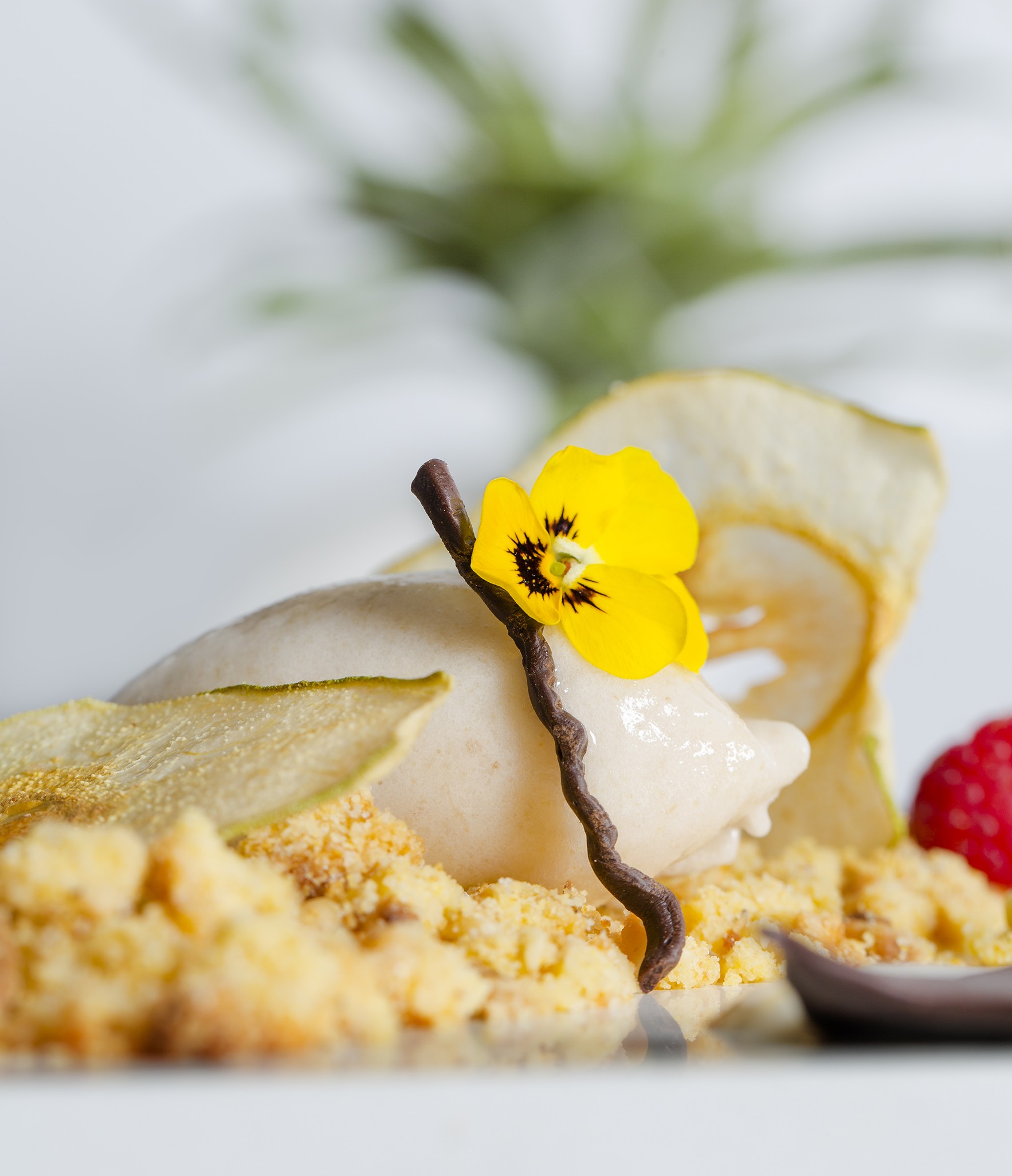 Tartita-Frutos-Secos-y-Polenta-RestauranteM29