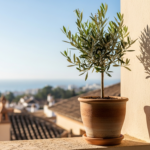 Sercotel annonce deux ouvertures en Andalousie, dont ses débuts à Marbella