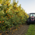 L'Espagne investit plus de dix millions d'euros pour renforcer le secteur agricole des Asturies