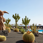 Le changement des habitudes des clients TUI qui profite aux hôtels de Maspalomas cet été.